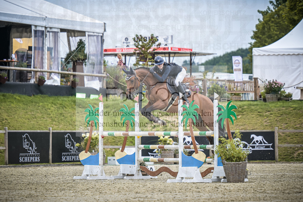 DOS_2754 | Entdecke hochwertige Reitturnierfotos von Foto Oger. Professionell, emotional und authentisch – jetzt Lieblingsmomente im Shop bestellen.Deutschlandweite Turnierfotografie. - Realisiert mit Pictrs.com