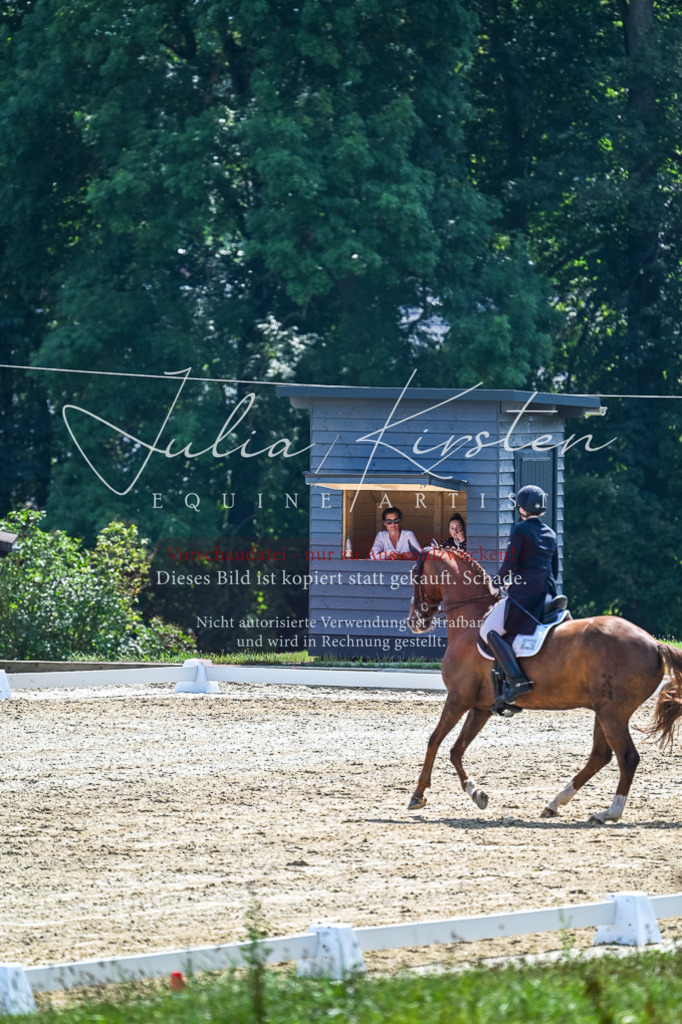 DSC_2763 | Pferde- und Turnierfotografie in Westsachsen. Pferdeportraits, Auftragszeichnungen und intuitive Kunst.