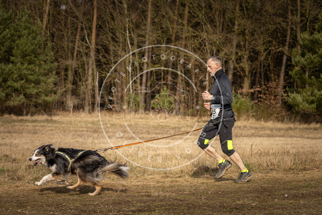 DV3A3937 | Hundefotografie, Tierfotograf, Pfotenfotografie, Fotoshooting Hund, Hunde Portrait, Hundesport, Hundeportraits, Heideshooting, Hunde, Sportfotograf, Hundefotograf, Turnierhundsport, THS,  - Realisiert mit Pictrs.com