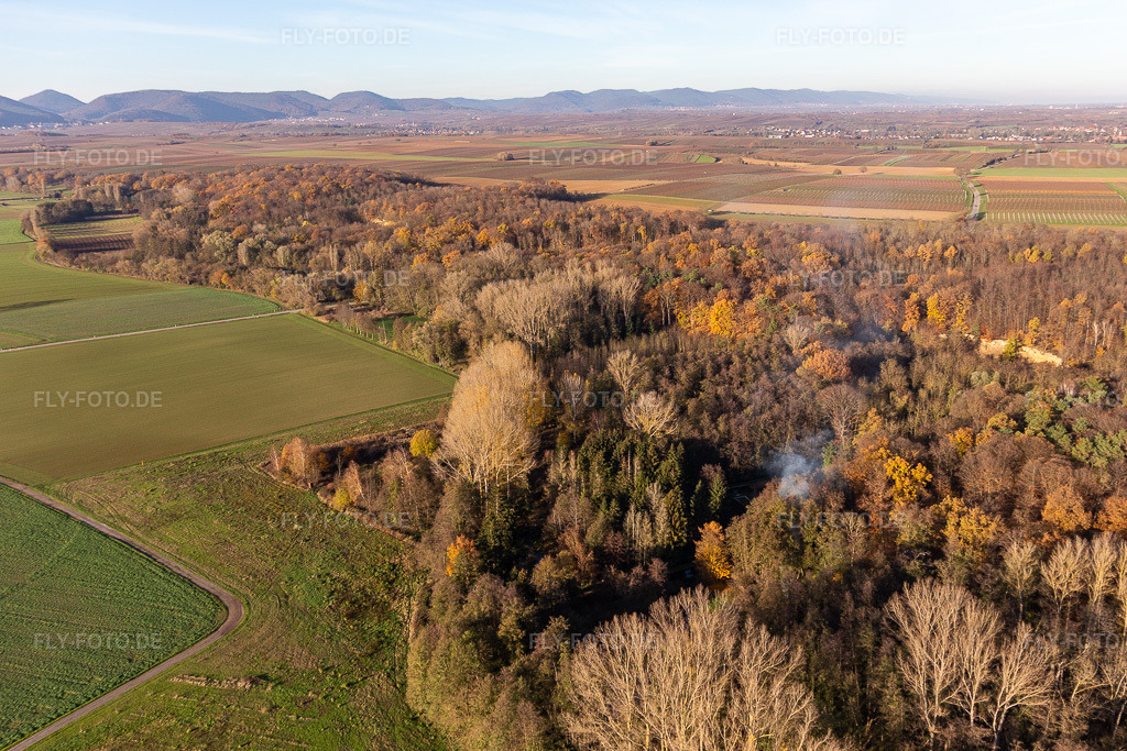 Luftbild: Billigheimer Bruch, Erlenbachtal zwischen Barbelroth, Hergersweiler und Winden im Ortsteil Ingenheim in Billigheim-Ingenheim im Bundesland Rheinland-Pfalz in Deutschland. Foto: IMG_123879.jpg vom 21.11.2020 durch Werner Riehm/FLY-FOTO.de