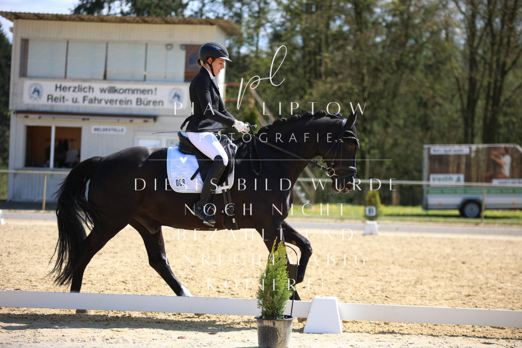 IMGT2650 | pl-fotografie