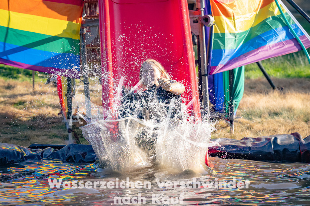 1741_ZZ91711 | kk-dogfotos