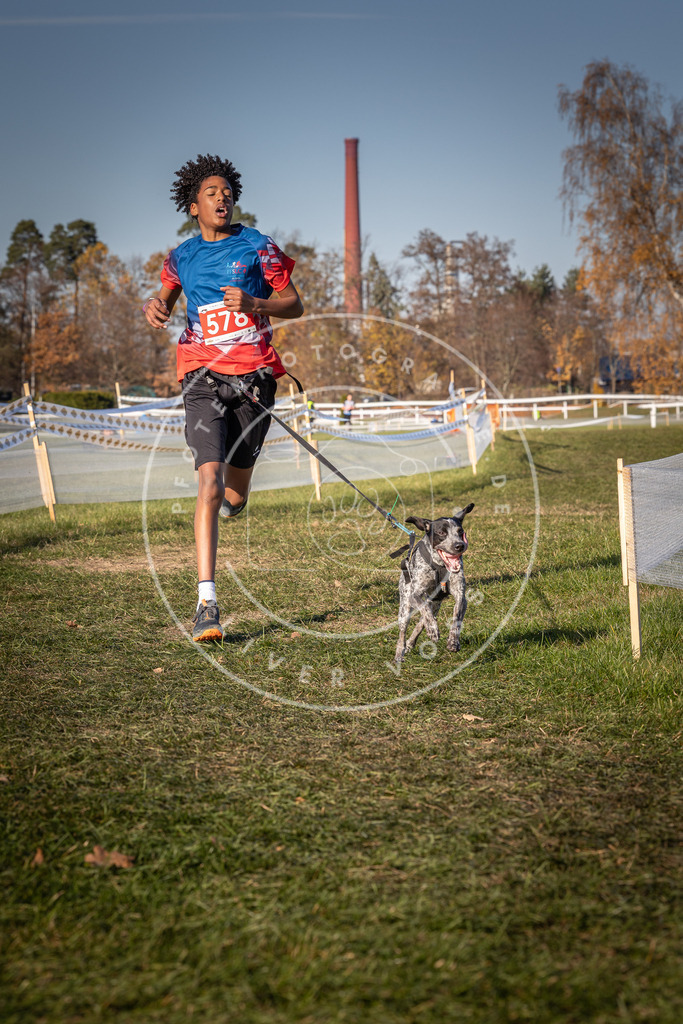 CaniXpix_0L8A8181 | Hundefotografie, Tierfotograf, Pfotenfotografie, Fotoshooting Hund, Hunde Portrait, Hundesport, Hundeportraits, Heideshooting, Hunde, Sportfotograf, Hundefotograf, Turnierhundsport, THS,  - Realisiert mit Pictrs.com