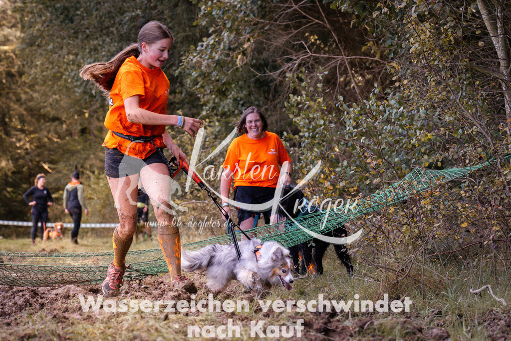 1246_ZZ91154 | kk-dogfotos