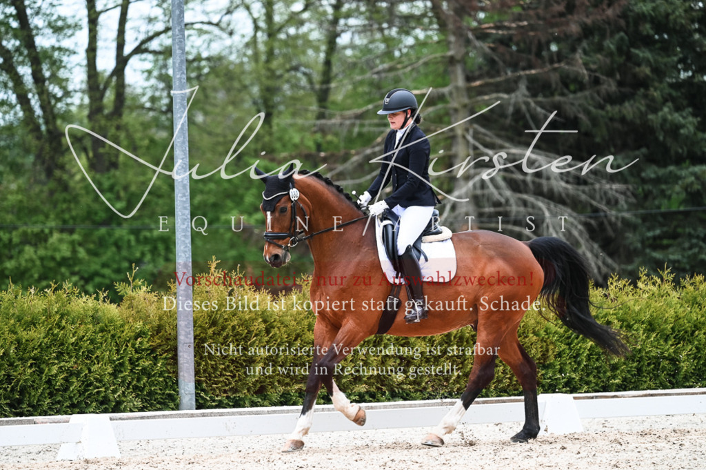 20230513_JK-Röhrsdorf-11-059 | Pferde- und Turnierfotografie in Westsachsen. Pferdeportraits, Auftragszeichnungen und intuitive Kunst.