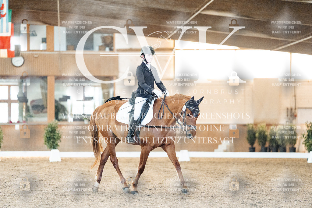 CK906558 | Turnierfotografie Pferdefotografie Trier Rheinland-Pfalz Pferdesport Reitsport Tierfotografie Sportfotografie Pferdevideo Pferdevideografie Equestrianvideography equestrianphotography  - Realisiert mit Pictrs.com