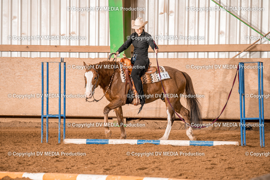 BAL00604 | dv-media-shop - Realisiert mit Pictrs.com