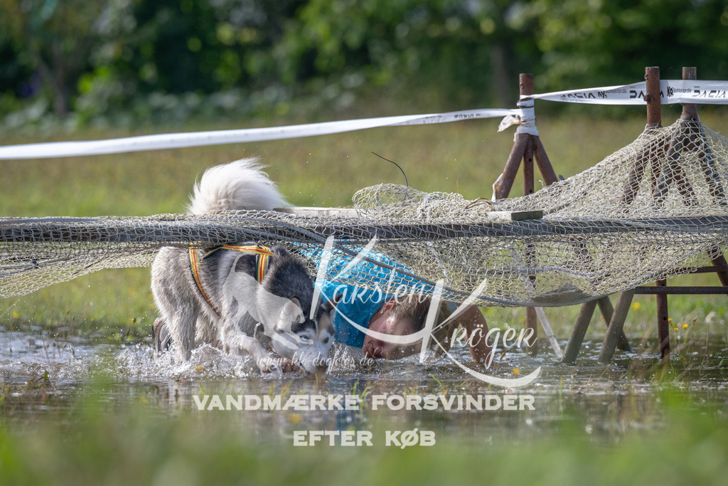 1141_ZZ91043 | kk-dogfotos