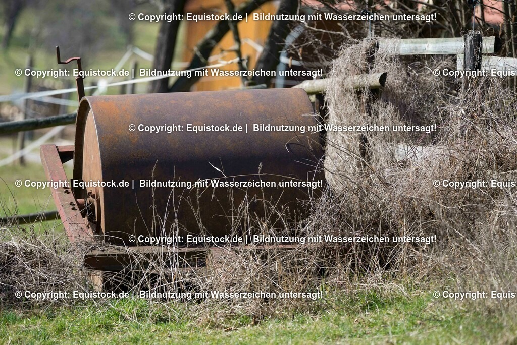 20170312_Walze_0003 | equistock