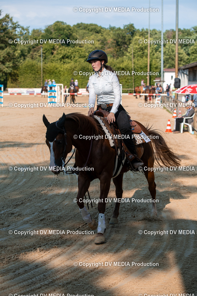 ZS2_8846 | dv-media-shop - Realisiert mit Pictrs.com