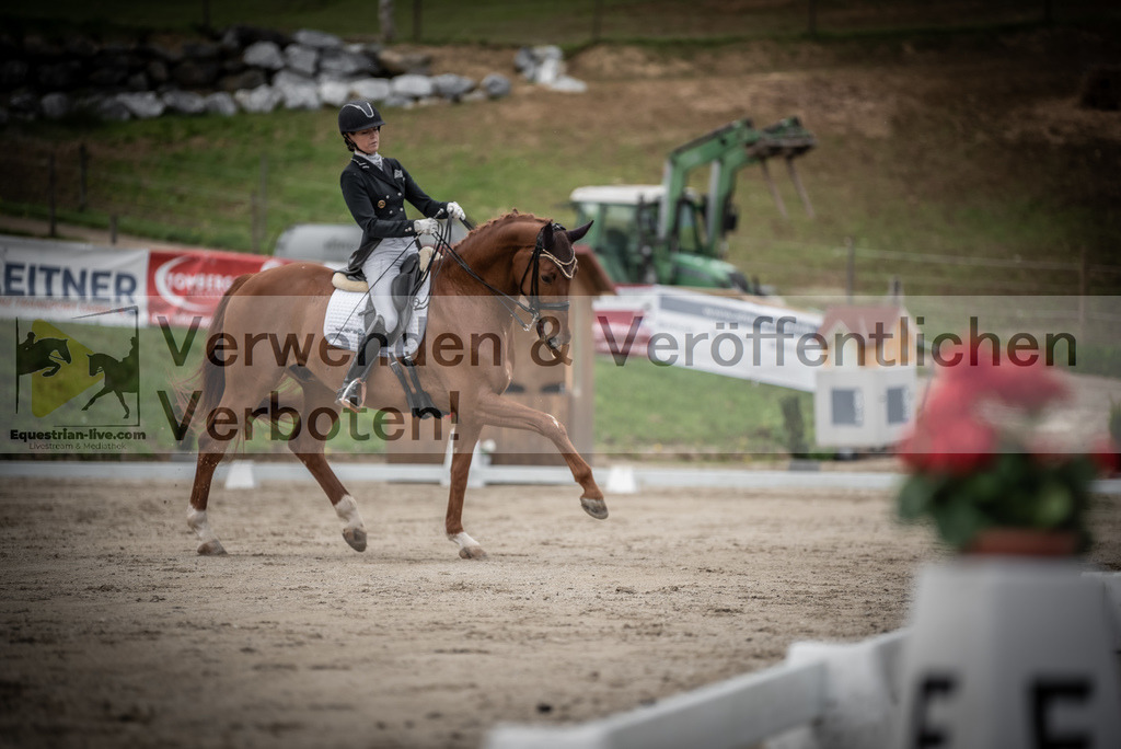 DSC_3033 | equestrian-live-com
