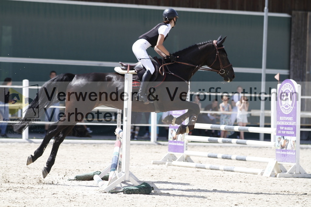 _MG_6086 | equestrian-live-com