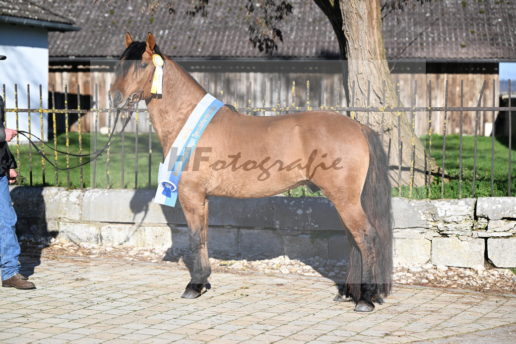 Kat-Nr. 12 Tapadero v. Tape Isidoro_Seefried_49250552 | hf-fotografie - Realisiert mit Pictrs.com