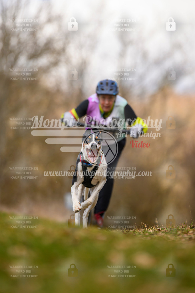 MompixPhotography_10Schwabentrail2026_SO_Scooter-105 | PayLife