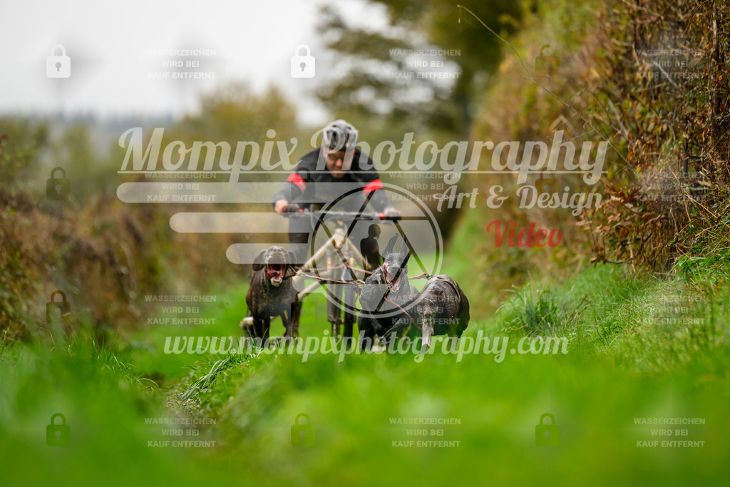 MompixPhotography_20TSB_E8_Kart-2 | PayLife