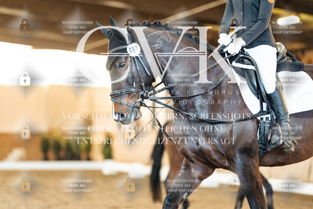 CK907154 | Turnierfotografie Pferdefotografie Trier Rheinland-Pfalz Pferdesport Reitsport Tierfotografie Sportfotografie Pferdevideo Pferdevideografie Equestrianvideography equestrianphotography  - Realisiert mit Pictrs.com