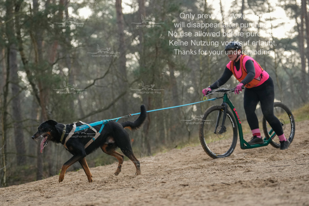 Scooter1-202 | stephaniefillaphotographie - Realisiert mit Pictrs.com