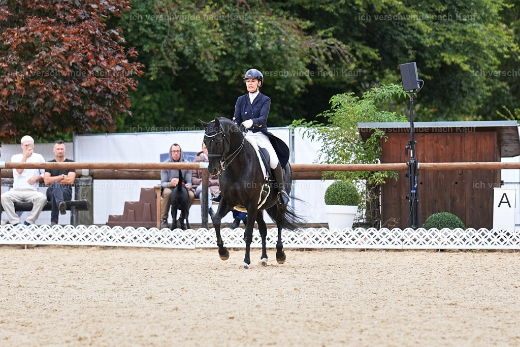 11-194-Dressur S___-Marixx-1496 | working equitationturnier fotograf videograf stoibphotography marixx film working equitation deutschland reitsport turnierfotografie eventfotografie equestrian events