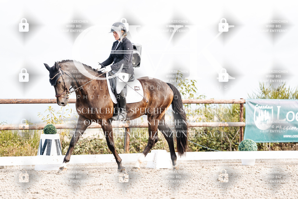 CK901283 | Turnierfotografie Pferdefotografie Trier Rheinland-Pfalz Pferdesport Reitsport Tierfotografie Sportfotografie Pferdevideo Pferdevideografie Equestrianvideography equestrianphotography  - Realisiert mit Pictrs.com