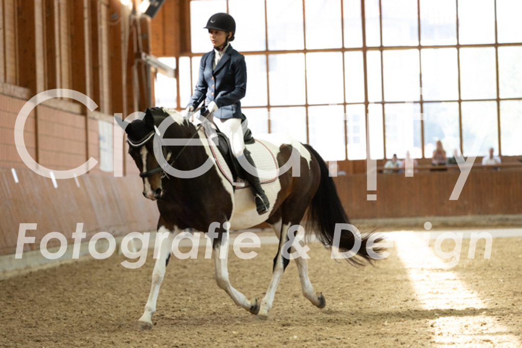 IMG_5335 | Creatify Fotografie