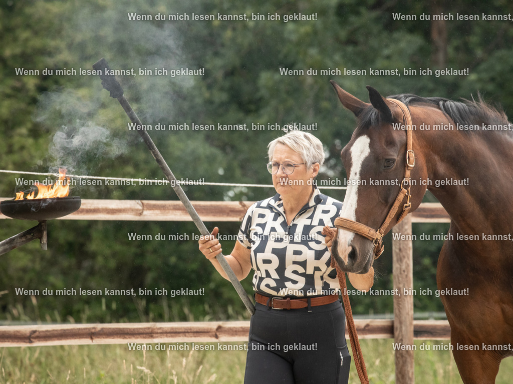 598A7195 | photographylinaismer - Realisiert mit Pictrs.com