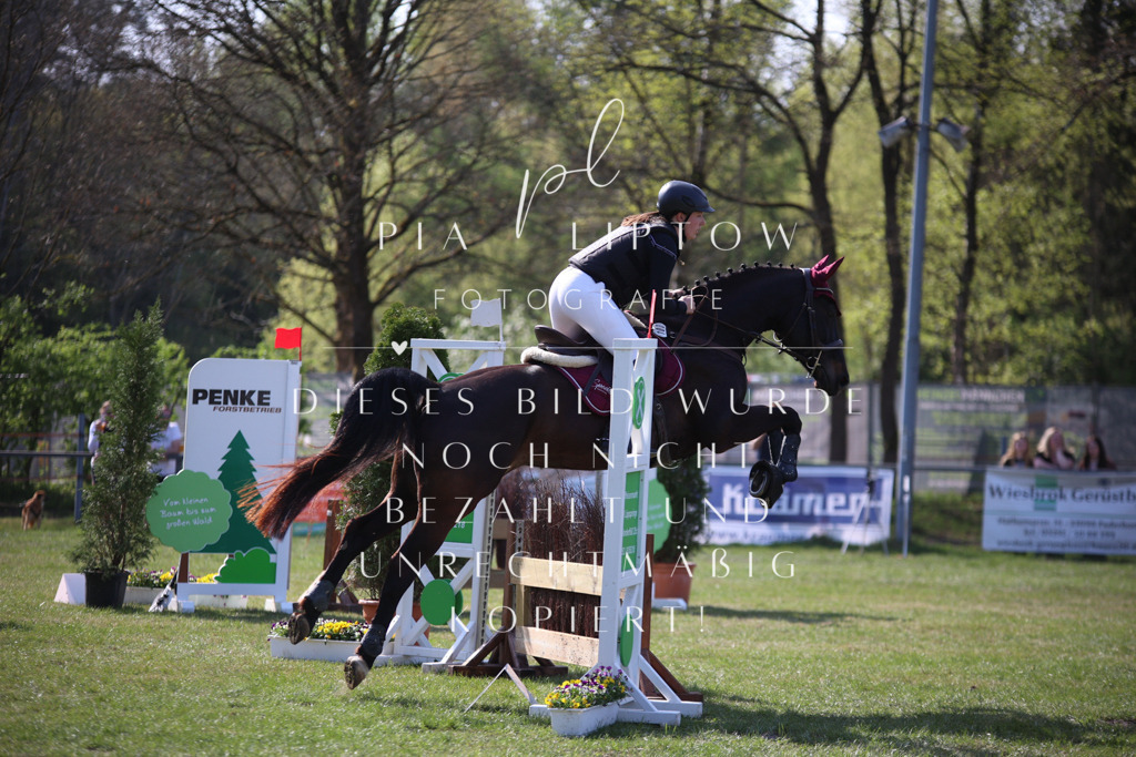 IMGT9156 | pl-fotografie