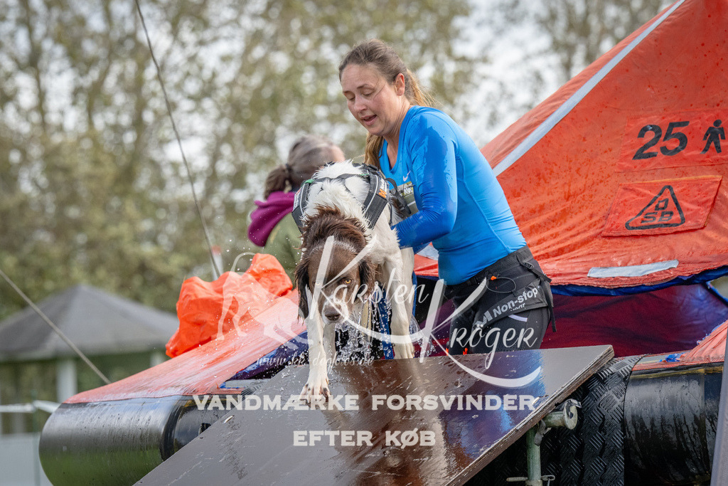 1222-93450 | kk-dogfotos
