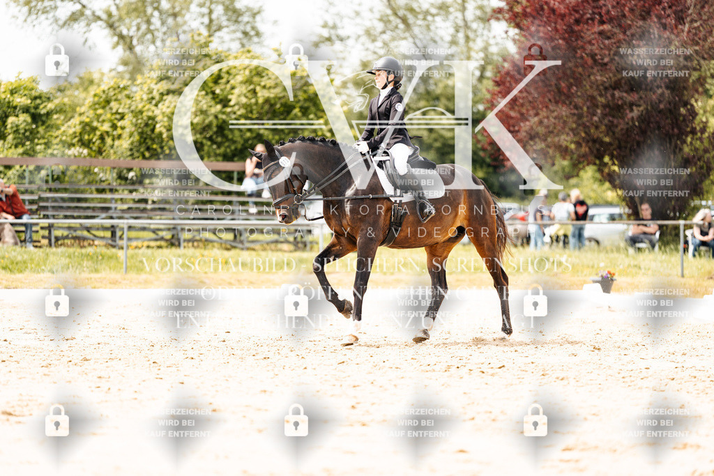 CK902573 | Turnierfotografie Pferdefotografie Trier Rheinland-Pfalz Pferdesport Reitsport Tierfotografie Sportfotografie Pferdevideo Pferdevideografie Equestrianvideography equestrianphotography  - Realisiert mit Pictrs.com
