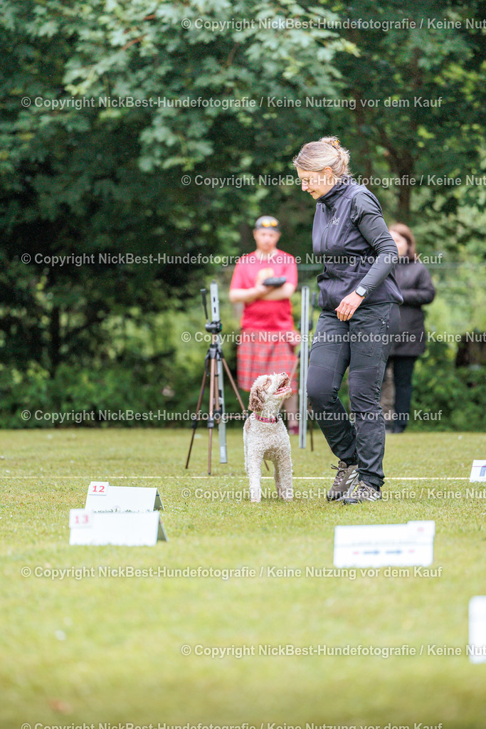 RO-Blumenthal-2026-Nickbest-Hundefotografie-0370 | Dein Hund! Dein Moment! Deine Erinnerungen! Hundefotografie in Bremen Blumenthal. Ich fange die besonderen Momente deines Vierbeiners ein – ob Indoor mit Blitzanlage oder in der freien Natur. Sicher dir dein Moment und dein Termin für eure Erinnerungen.
