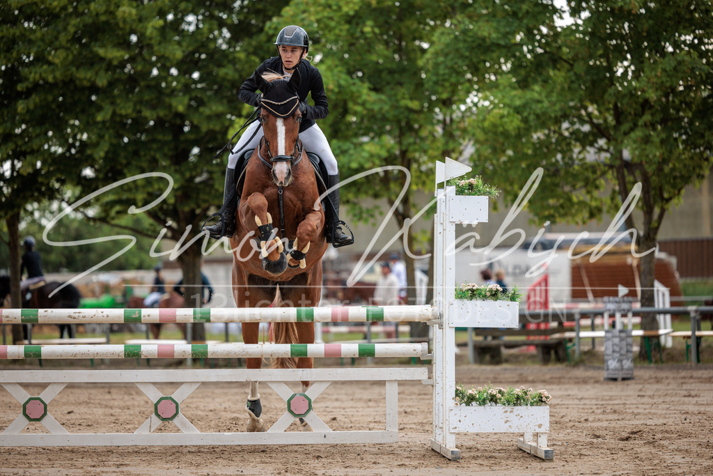 20260531-_3LI3340 | Tierfotografie Pferde, Hunde, Katzen, Haustiere.
Turnierfotografie Reitturniere, Reiten, Springreiten, Dressur in Hanau, dem Main-Kinzig-Kreis und dem Rhein-Main- Gebiet um Frankfurt