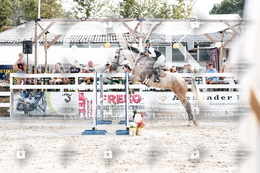 CK906730 | Turnierfotografie Pferdefotografie Trier Rheinland-Pfalz Pferdesport Reitsport Tierfotografie Sportfotografie Pferdevideo Pferdevideografie Equestrianvideography equestrianphotography  - Realisiert mit Pictrs.com