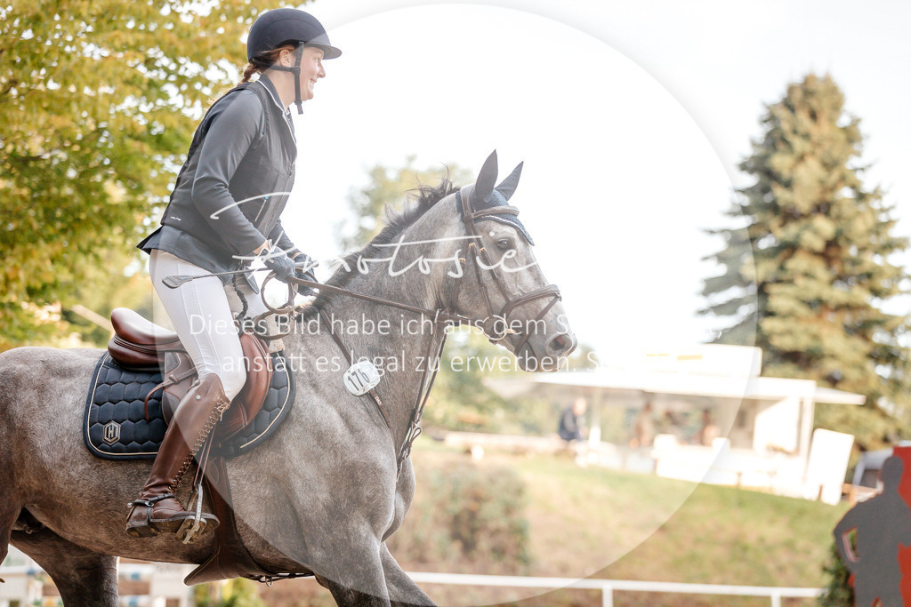 3I6A2178 | Stimmungsvolle Portraits und Reitsportfotografie im Ruhrgebiet und im Münsterland.

Pferdefotografie, Hundefotografie, Tierfotografie, Reportagen, Portraits von Tier und Mensch, Turnierfotografie in Bochum, Recklinghausen, Marl, Haltern am See, Dülmen.. - Realisiert mit Pictrs.com