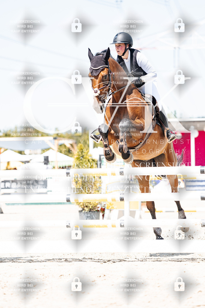 CK909614 | Turnierfotografie Pferdefotografie Trier Rheinland-Pfalz Pferdesport Reitsport Tierfotografie Sportfotografie Pferdevideo Pferdevideografie Equestrianvideography equestrianphotography  - Realisiert mit Pictrs.com