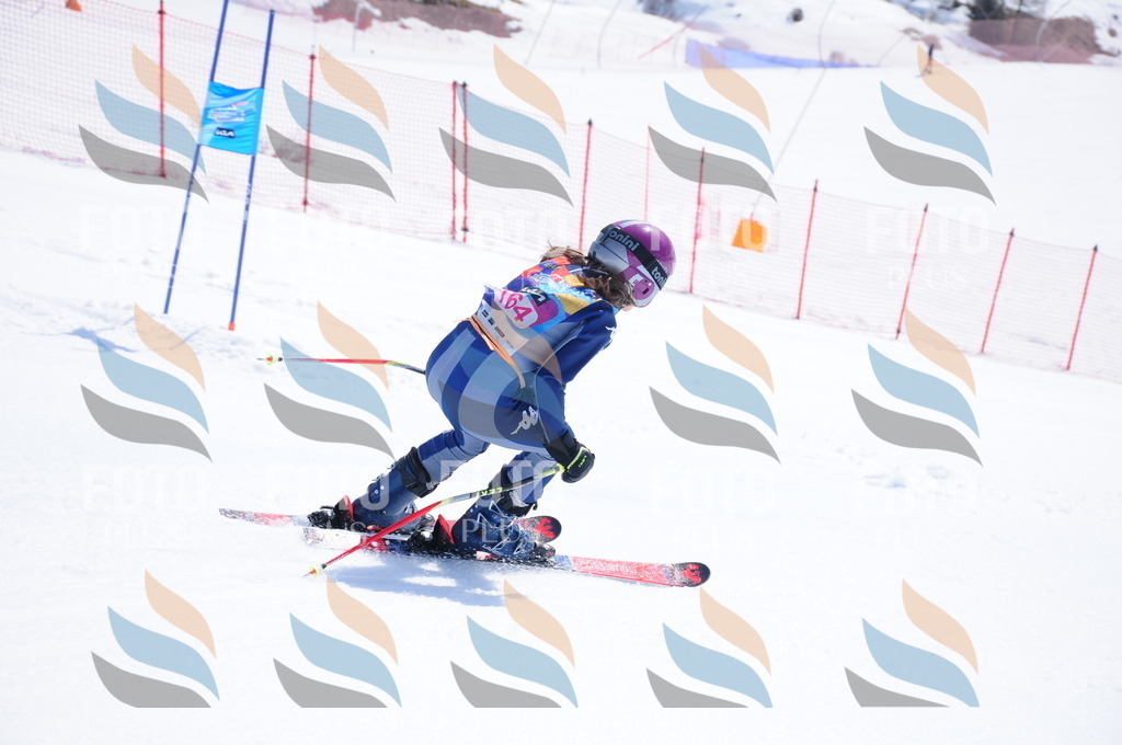 DSC_5422 | holidayphoto