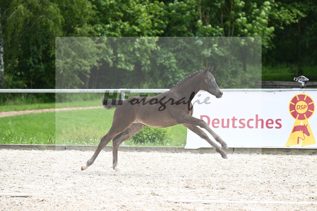 V-Power x Ray Ban_SF_Stadelmann_20240740 | hf-fotografie - Realisiert mit Pictrs.com