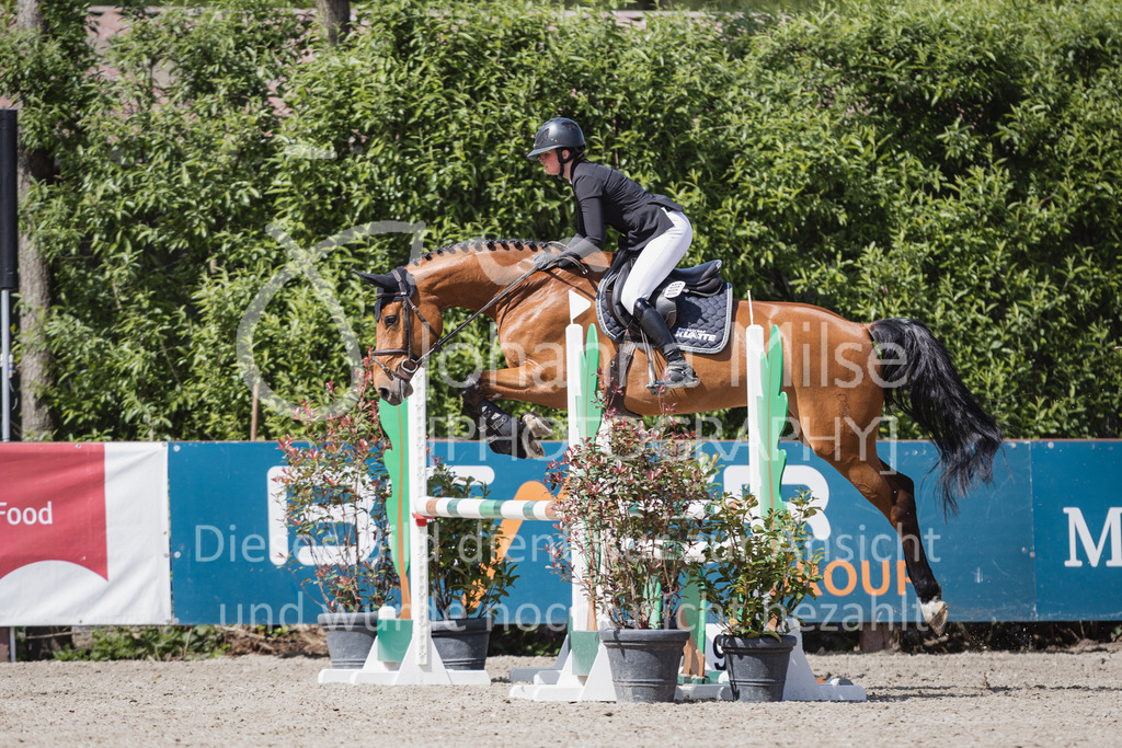 230516_Mühlen_03SprPf-A-308 | Deine schönsten Turniermomente als professionelle Fotos! Entdecke hochwertige Pferdesport-Fotografie im Online-Shop. Jetzt Fotos finden & bestellen!