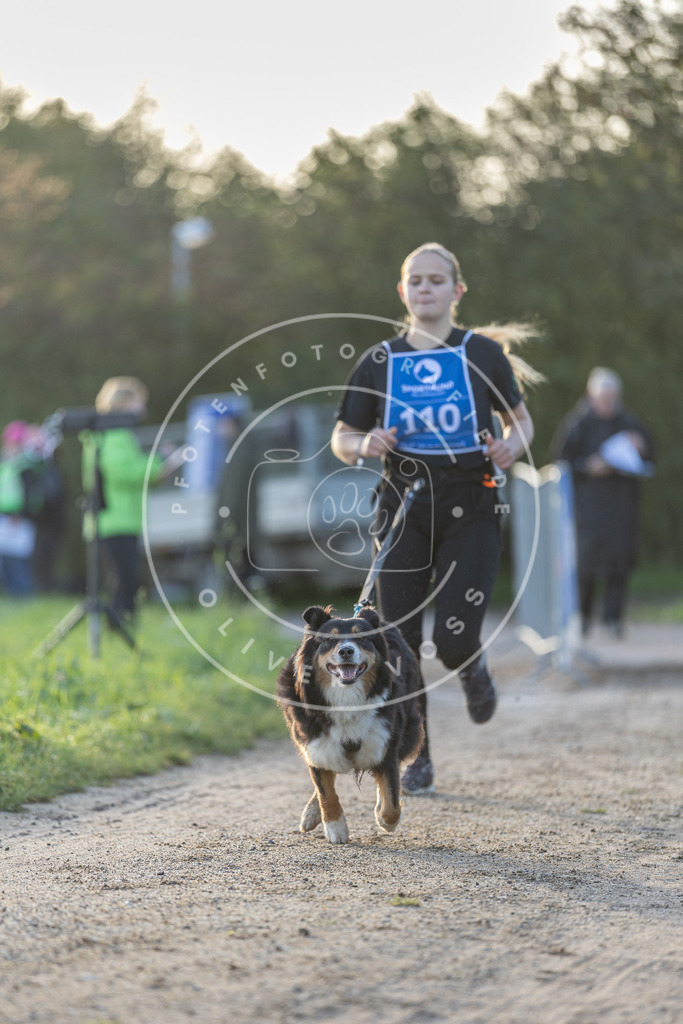 Pfotenfotografie.de_DV3A2542 | Hundefotografie, Tierfotograf, Pfotenfotografie, Fotoshooting Hund, Hunde Portrait, Hundesport, Hundeportraits, Heideshooting, Hunde, Sportfotograf, Hundefotograf, Turnierhundsport, THS, canicross - Realisiert mit Pictrs.com