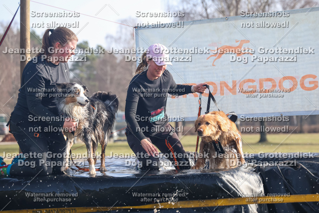 Dog Paparazzi - Strongdog North Mrz26-644 | Dog Paparazzi Jeanette Grottendiek Fotografie & Videografie - Realisiert mit Pictrs.com