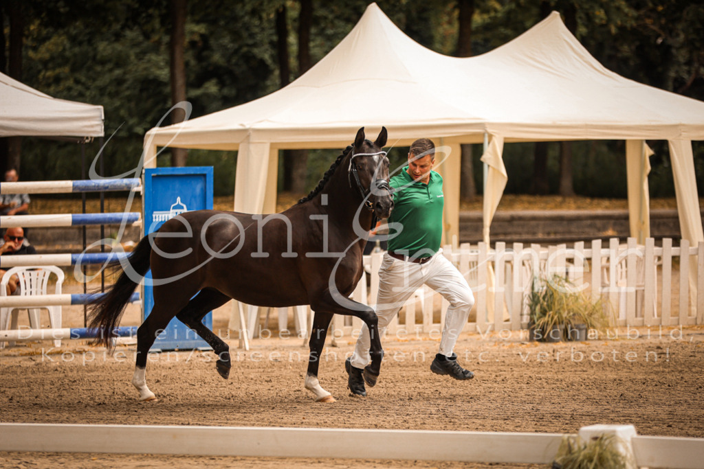 12.So00013 | Leoni Ertmer Photography - Realisiert mit Pictrs.com