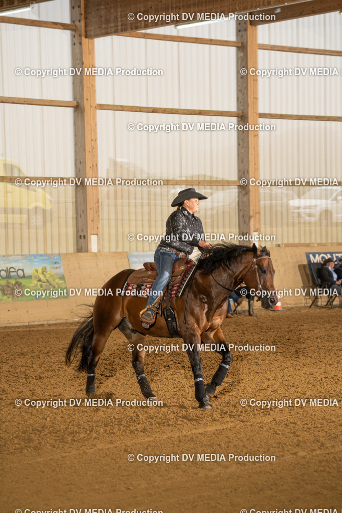 LAU00526 | dv-media-shop - Realisiert mit Pictrs.com