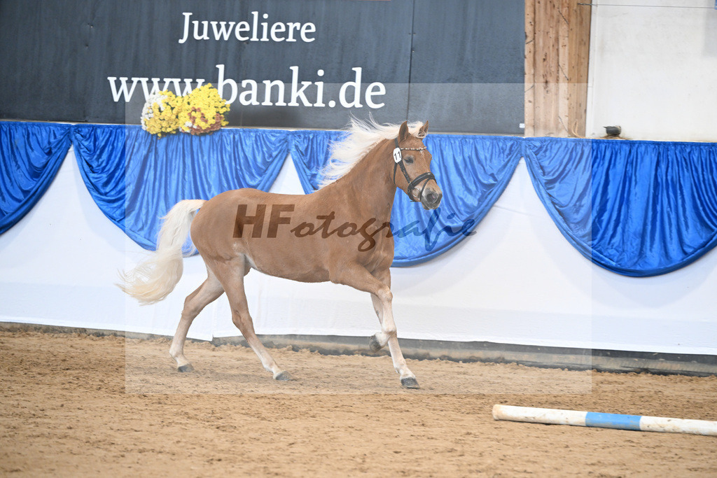 Bl. Band Kat-Nr. 11 Bel Amour v. Armani Ass_Aicher_48251462 | hf-fotografie - Realisiert mit Pictrs.com