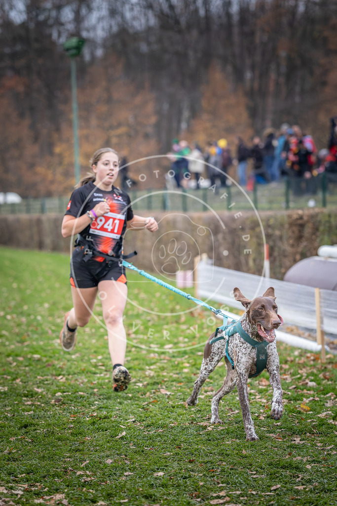 CaniXpix_DV3A7208 | Hundefotografie, Tierfotograf, Pfotenfotografie, Fotoshooting Hund, Hunde Portrait, Hundesport, Hundeportraits, Heideshooting, Hunde, Sportfotograf, Hundefotograf, Turnierhundsport, THS,  - Realisiert mit Pictrs.com