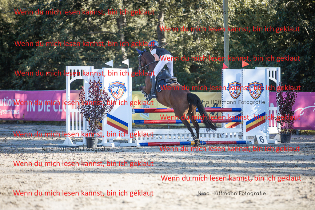 BK1A7885 | Turnierbilder Turnierfotos Nina Hüffmann Turnierfotografie Pferdefotografie Tierzeichnung Haustierzeichnung Pferdezeichnung Hundezeichnung Videograf  - Realisiert mit Pictrs.com