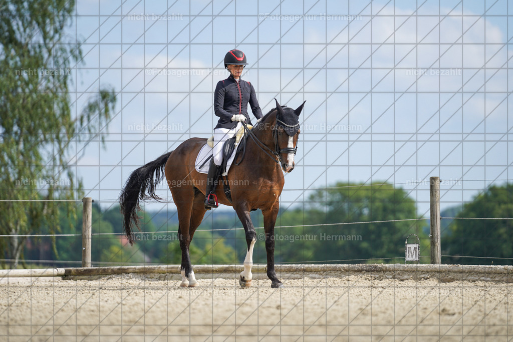 20230826-FAH05993 | Forstinning, 2023, Dressurturnier, Turniersportbilder, Turnierfotografen Bayern, Fotoagentur Herrmann, Reitsportfotografie, Turnierbilder