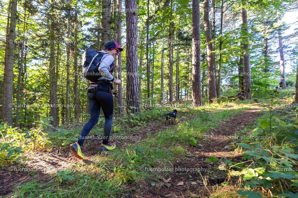 fuernholzer_251004-C3-195 | © Christian Fuernholzer | fuernholzer photography