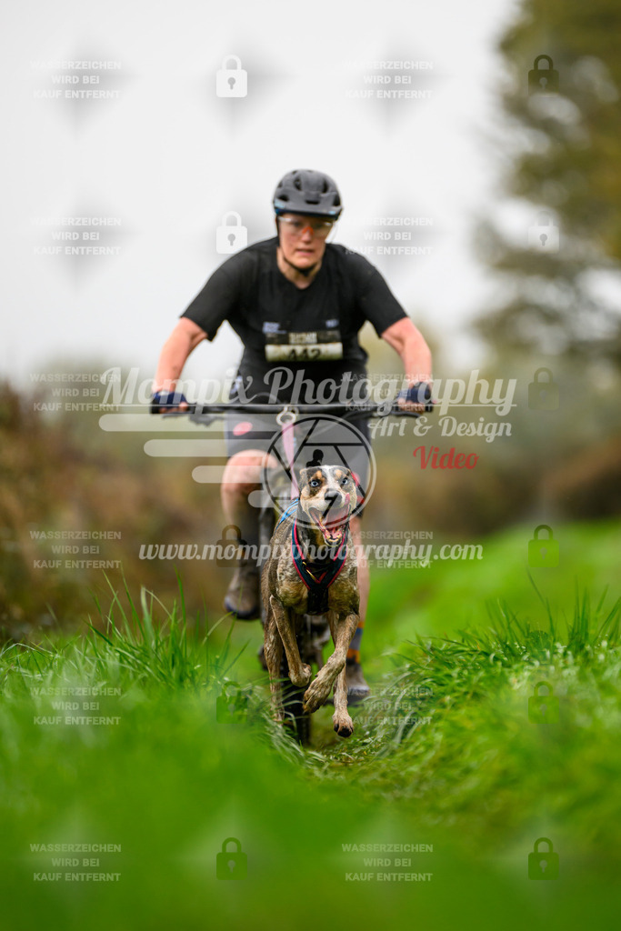 MompixPhotography_20TSB_E8_Bike-128 | PayLife