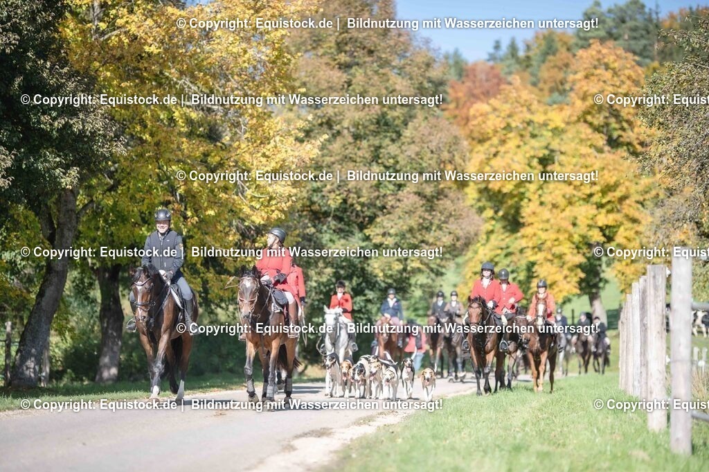 20251011_Jagd-Marbach_0585 | Foto: Thomas Hartig