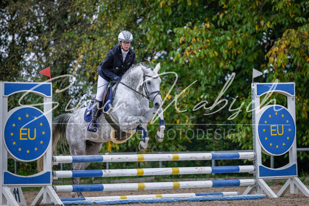 20251012-_3LI4051 | Tierfotografie Pferde, Hunde, Katzen, Haustiere.
Turnierfotografie Reitturniere, Reiten, Springreiten, Dressur in Hanau, dem Main-Kinzig-Kreis und dem Rhein-Main- Gebiet um Frankfurt