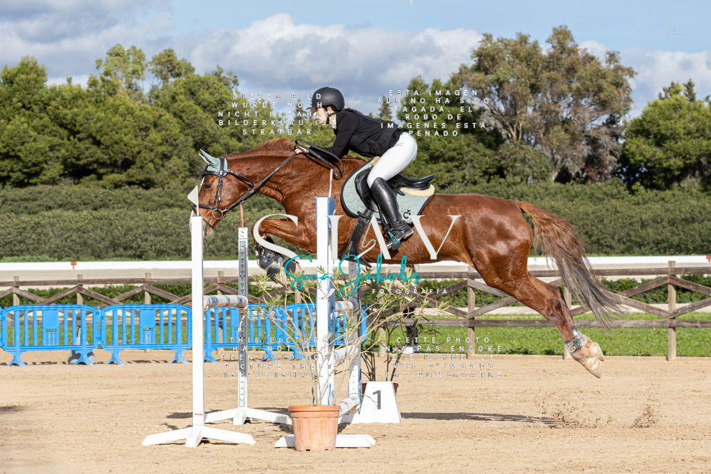 IMG_7980 | s-jay-photography - Realisiert mit Pictrs.com