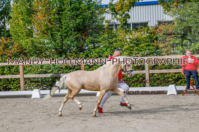GK (263 von 759) | mandyhollmannphotographie